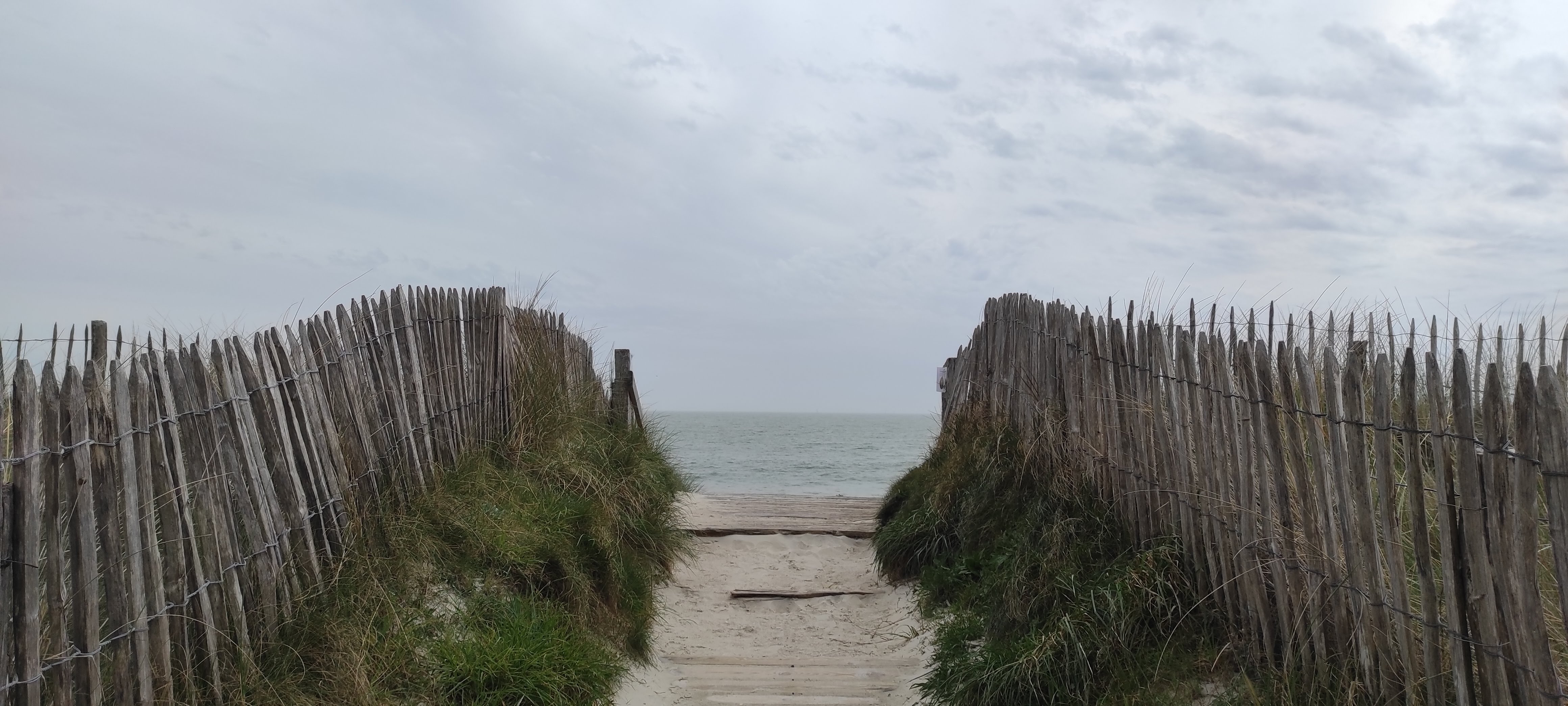 Path to the ocean
